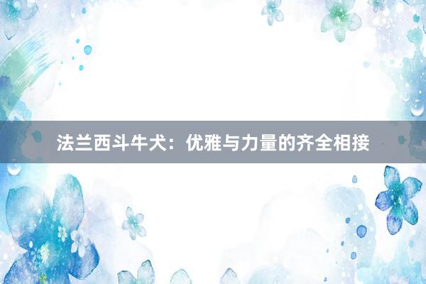 法兰西斗牛犬:优雅与力量的齐全相接