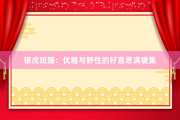 银虎斑猫：优雅与野性的好意思满辘集